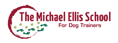 michael ellis school for dog training